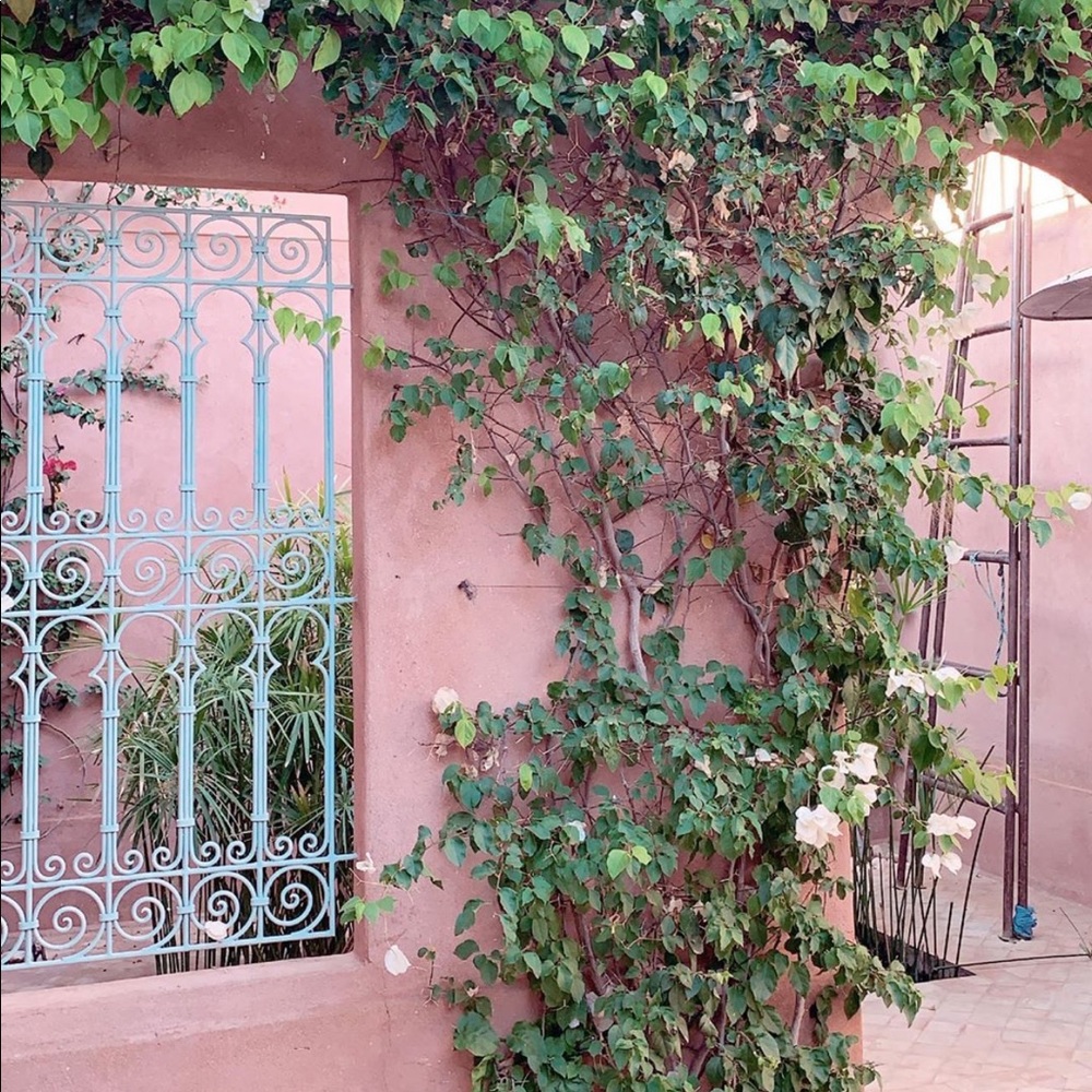 Meet your Posher, Manuela